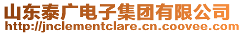 山東泰廣電子集團(tuán)有限公司