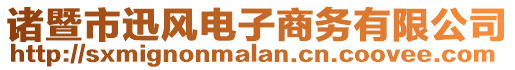 諸暨市迅風(fēng)電子商務(wù)有限公司