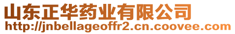 山東正華藥業(yè)有限公司