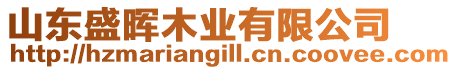 山東盛暉木業(yè)有限公司