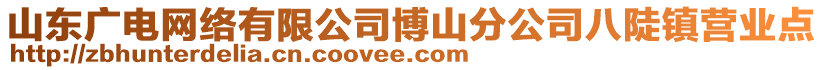 山東廣電網(wǎng)絡(luò)有限公司博山分公司八陡鎮(zhèn)營業(yè)點(diǎn)