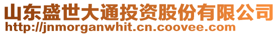 山東盛世大通投資股份有限公司