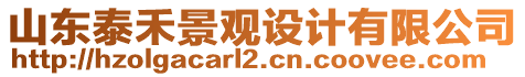 山東泰禾景觀設計有限公司
