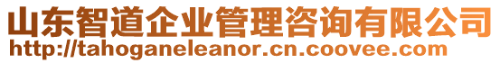 山東智道企業(yè)管理咨詢有限公司