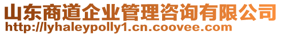 山東商道企業(yè)管理咨詢有限公司