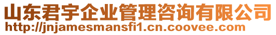 山東君宇企業(yè)管理咨詢有限公司