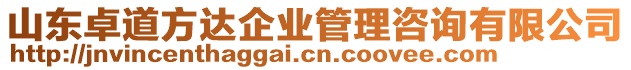 山東卓道方達(dá)企業(yè)管理咨詢有限公司