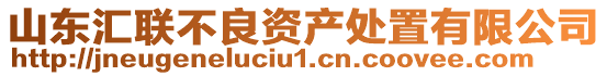 山東匯聯(lián)不良資產(chǎn)處置有限公司