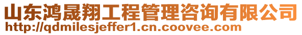 山東鴻晟翔工程管理咨詢有限公司