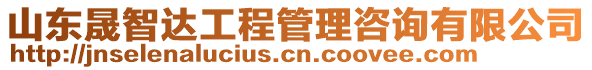 山東晟智達(dá)工程管理咨詢有限公司