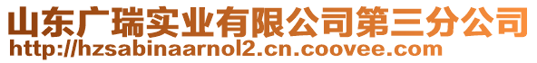 山東廣瑞實(shí)業(yè)有限公司第三分公司