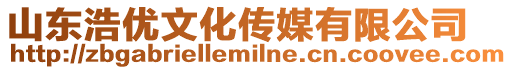 山東浩優(yōu)文化傳媒有限公司