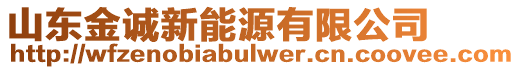 山東金誠新能源有限公司