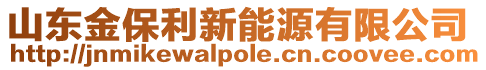 山東金保利新能源有限公司