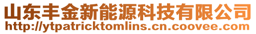 山東豐金新能源科技有限公司