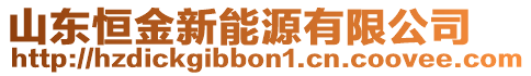 山東恒金新能源有限公司