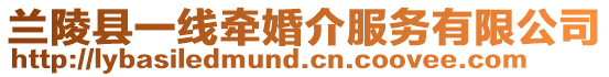 蘭陵縣一線牽婚介服務有限公司