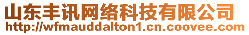 山東豐訊網(wǎng)絡(luò)科技有限公司