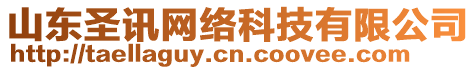 山東圣訊網(wǎng)絡科技有限公司