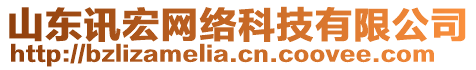 山東訊宏網(wǎng)絡(luò)科技有限公司