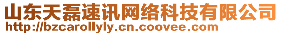 山東天磊速訊網(wǎng)絡(luò)科技有限公司