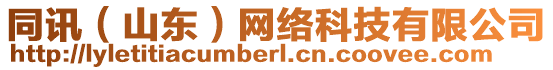 同訊（山東）網(wǎng)絡(luò)科技有限公司