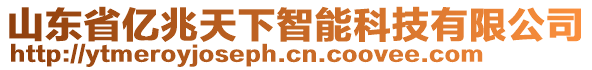 山東省億兆天下智能科技有限公司