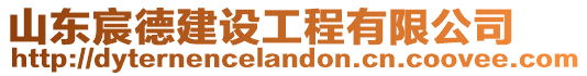 山東宸德建設(shè)工程有限公司