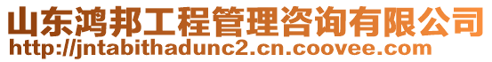 山東鴻邦工程管理咨詢有限公司