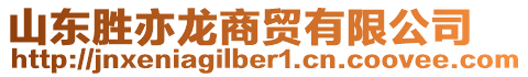 山東勝亦龍商貿(mào)有限公司