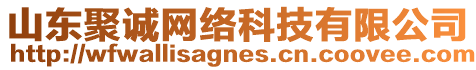 山東聚誠網(wǎng)絡(luò)科技有限公司