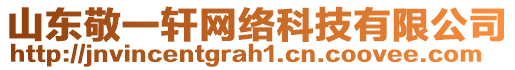 山東敬一軒網(wǎng)絡科技有限公司