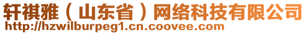 軒祺雅（山東省）網(wǎng)絡(luò)科技有限公司
