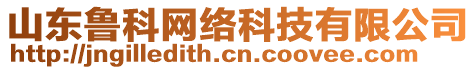 山東魯科網(wǎng)絡(luò)科技有限公司