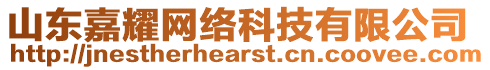 山東嘉耀網(wǎng)絡(luò)科技有限公司