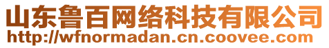 山東魯百網(wǎng)絡(luò)科技有限公司