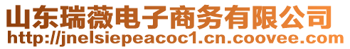 山東瑞薇電子商務有限公司