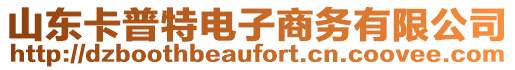 山東卡普特電子商務有限公司