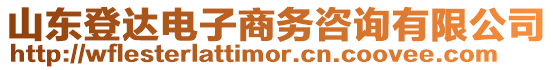 山東登達電子商務(wù)咨詢有限公司