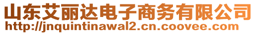 山東艾麗達電子商務(wù)有限公司