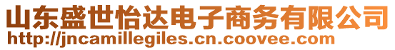 山東盛世怡達(dá)電子商務(wù)有限公司