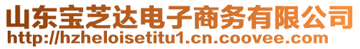 山東寶芝達電子商務(wù)有限公司