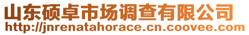 山東碩卓市場(chǎng)調(diào)查有限公司