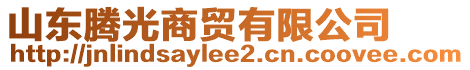 山東騰光商貿(mào)有限公司