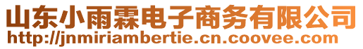 山東小雨霖電子商務有限公司