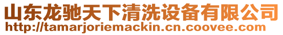 山東龍馳天下清洗設備有限公司