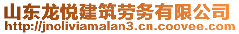 山東龍悅建筑勞務(wù)有限公司