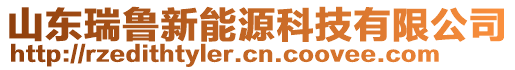 山東瑞魯新能源科技有限公司