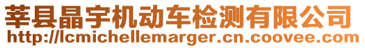 莘縣晶宇機動車檢測有限公司