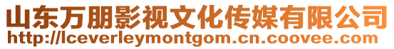 山東萬朋影視文化傳媒有限公司